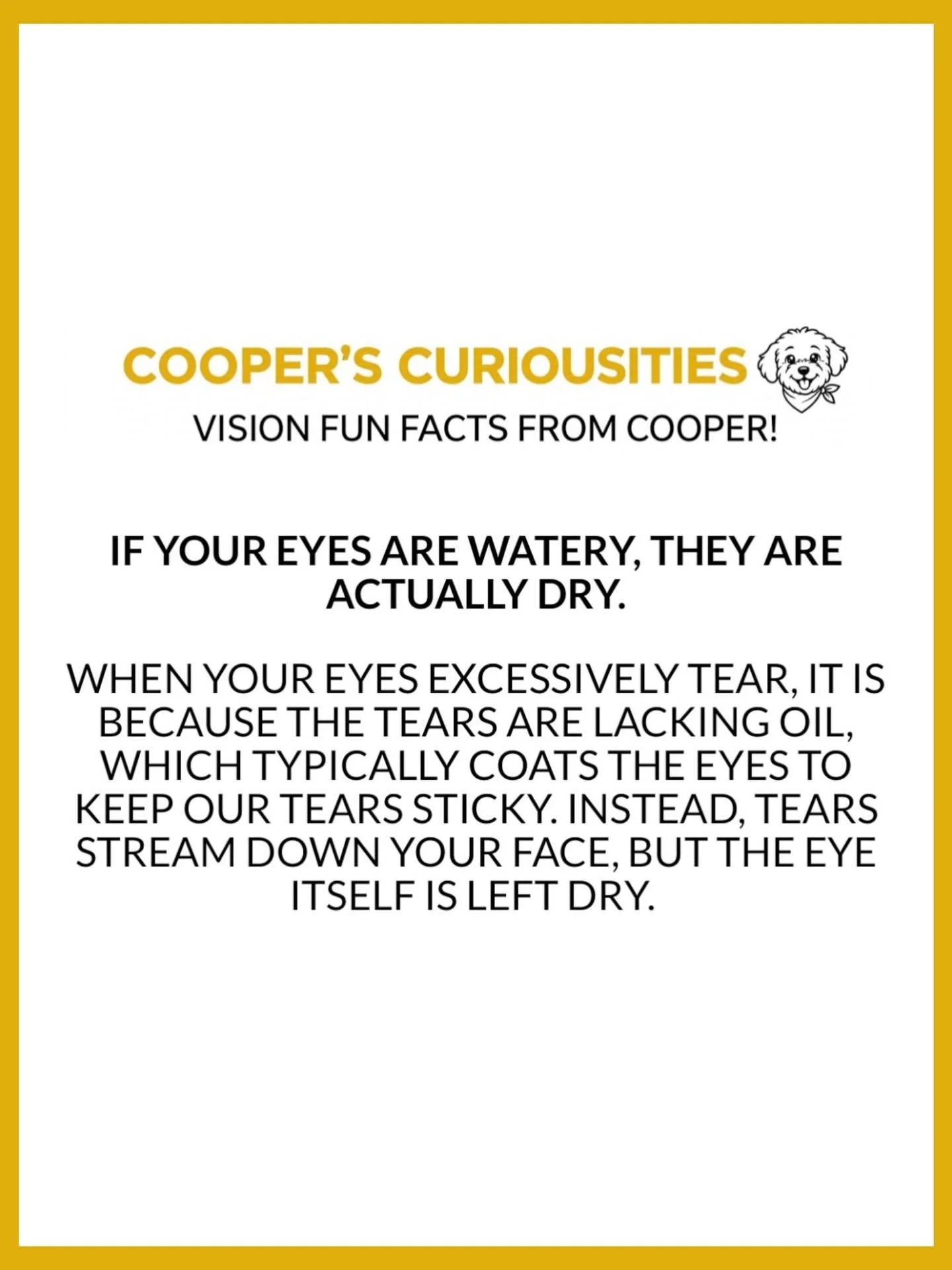 I know it seems a little strange, but if your eyes are watery, you&rsquo;re actually very dry! Let us help you fix the tear composition to keep those tears on your eyes 😉👀🙌🏻 #funfactfriday #dryeye #themoreyouknow #visiontrivia #spectacleoptometry