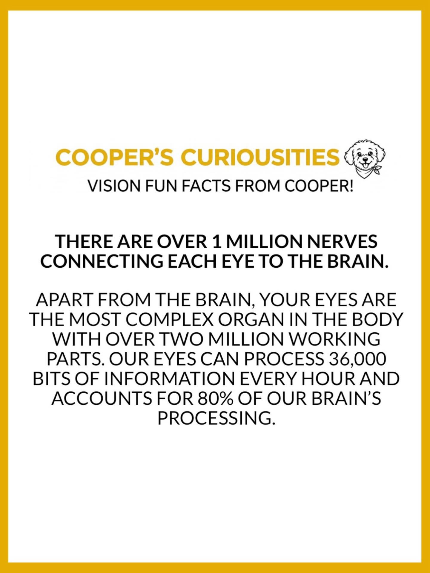 Isn&rsquo;t that crazy?! 🧠 👀 Our eyes are pretty amazing if you ask us!! #visiontrivia #eyefunfact #fridayfunfact #fridayvibes #spectacleoptometry