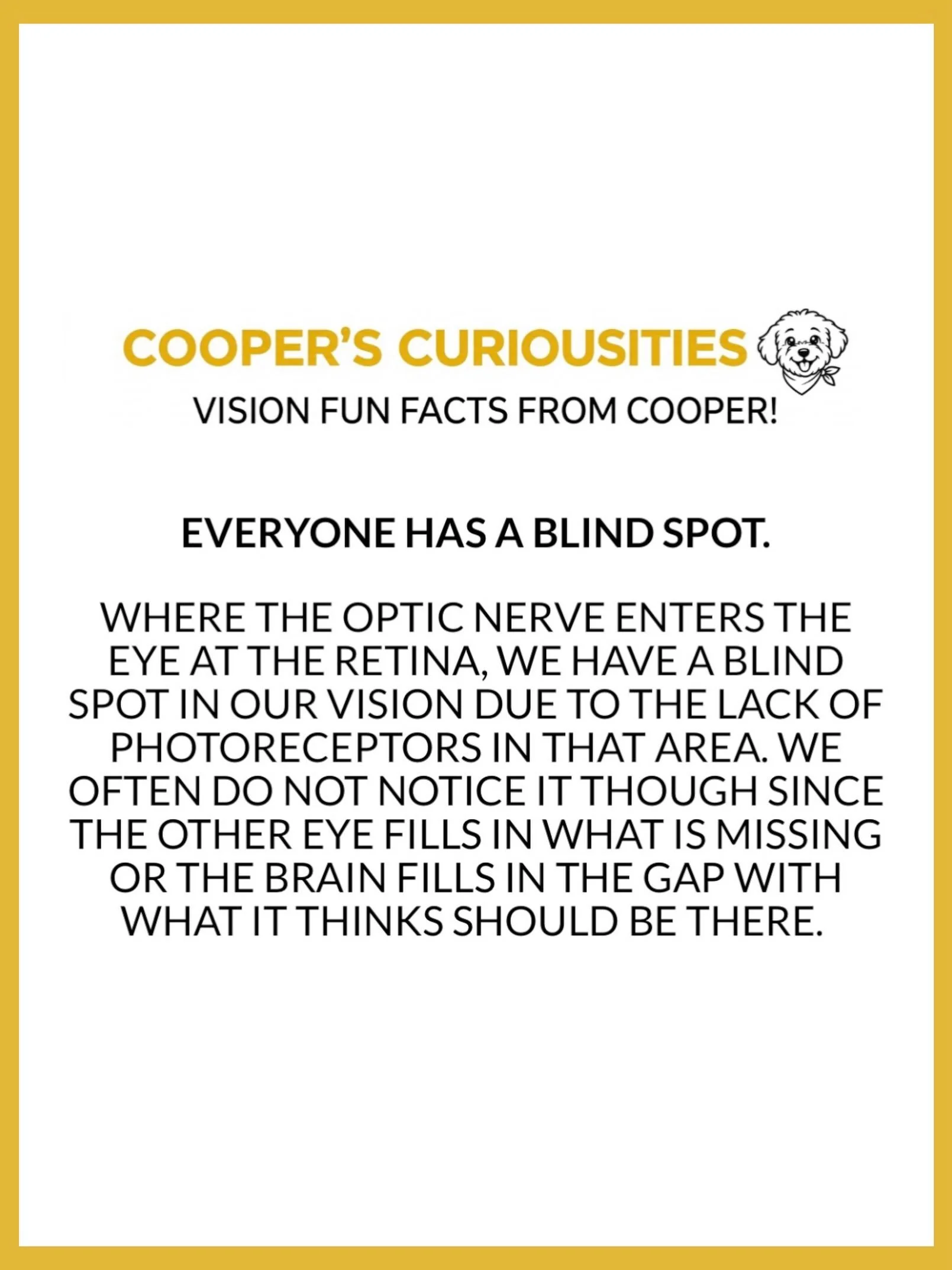 Did you know that?! 👀 #visiontrivia #eyefunfact #funfactfriday #blindspot #spectacleoptometry