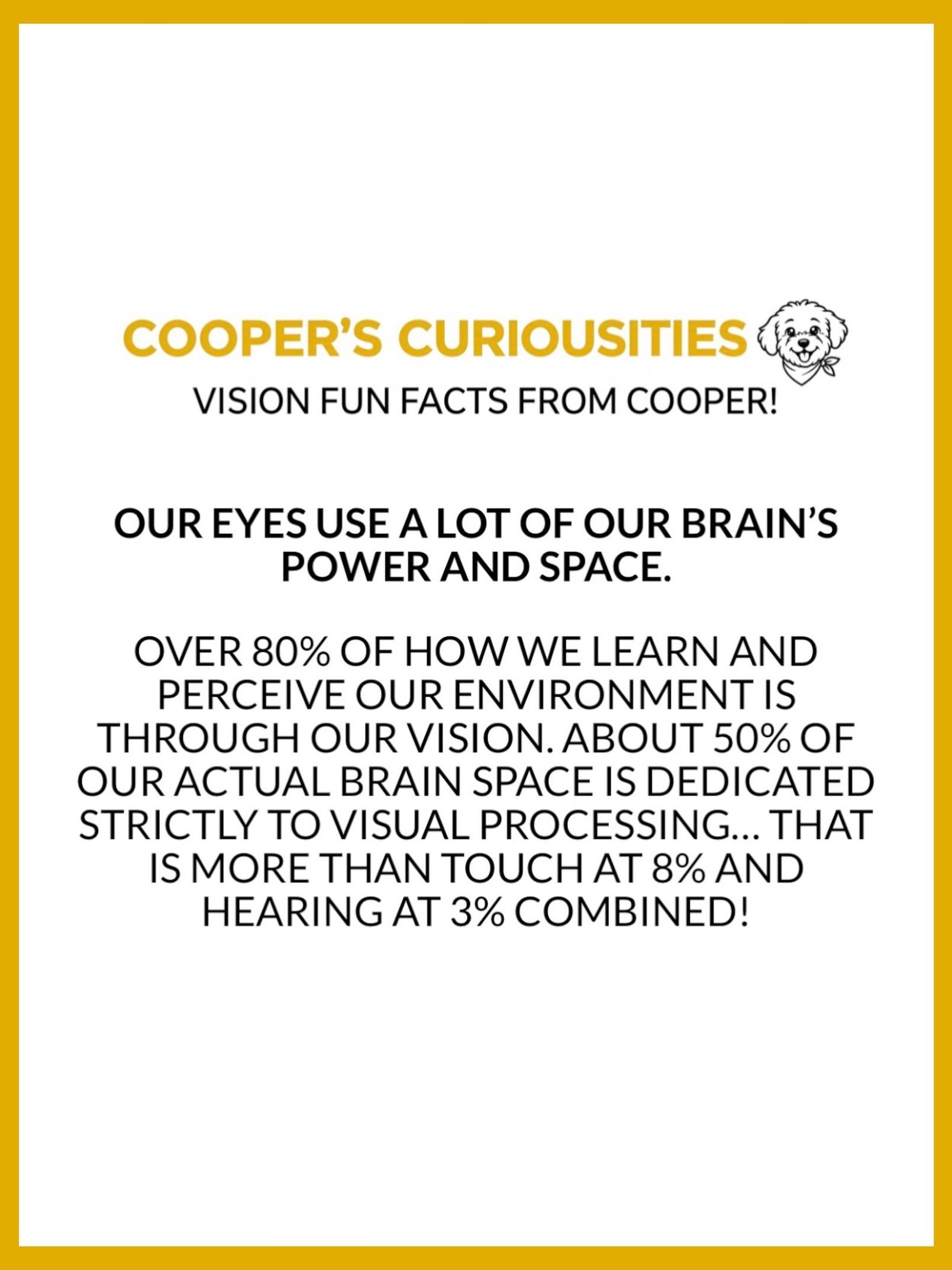 Our eyes need so much of our brain to process all the information we see! That&rsquo;s why it&rsquo;s so important to get your eyes checked early and regularly to make sure every thing we see and process is working at its best! 

Don&rsquo;t forget, 
