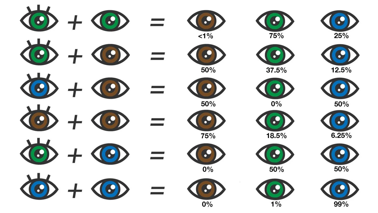 THE FACTS ABOUT EYE MYTHS (PART 2!) — Spectacle Optometry