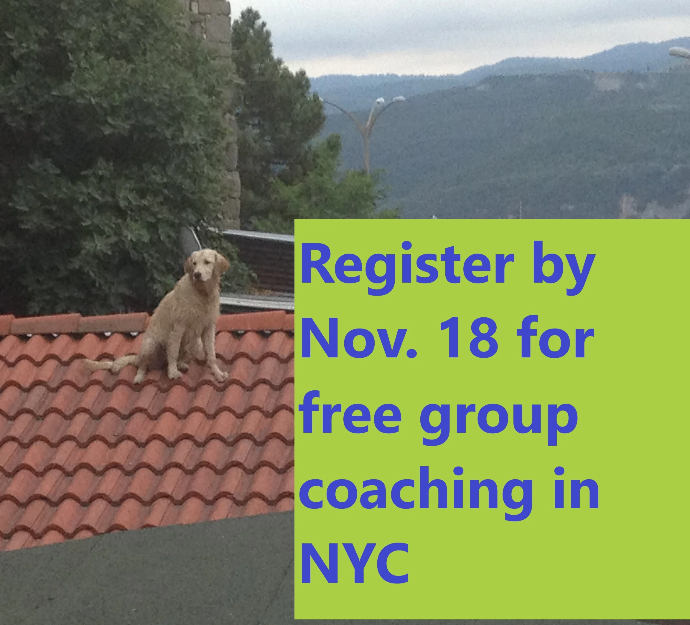 Free Group Coaching Session in New York City