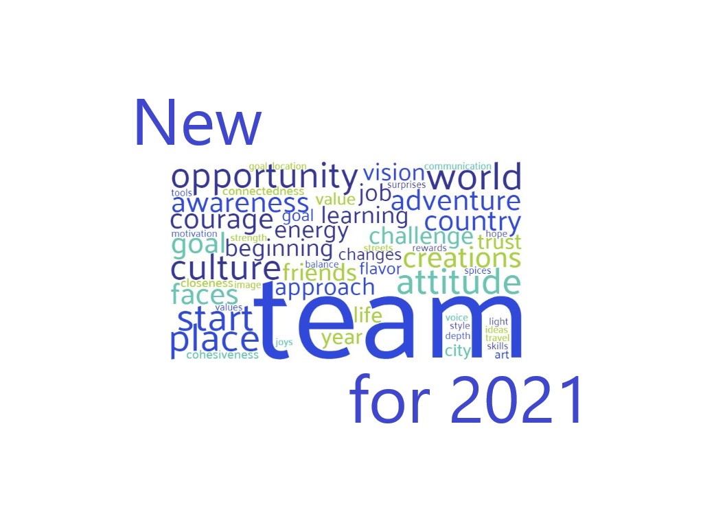 Build a strong team for 2021! Lencioni Webinar and Facilitated Training