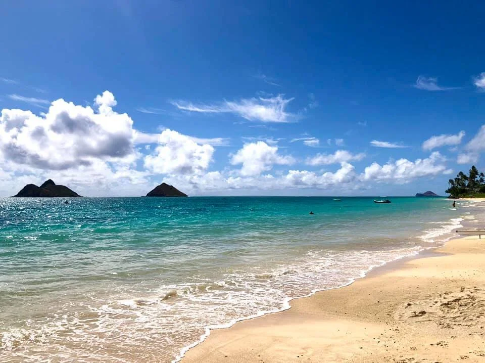 beach.jpg