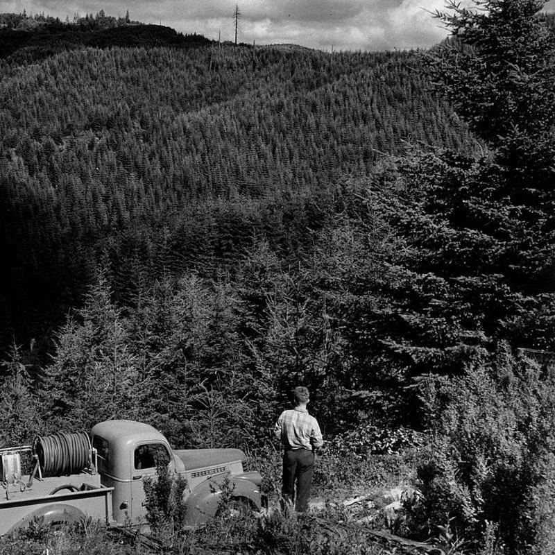 Forest Product Weekend