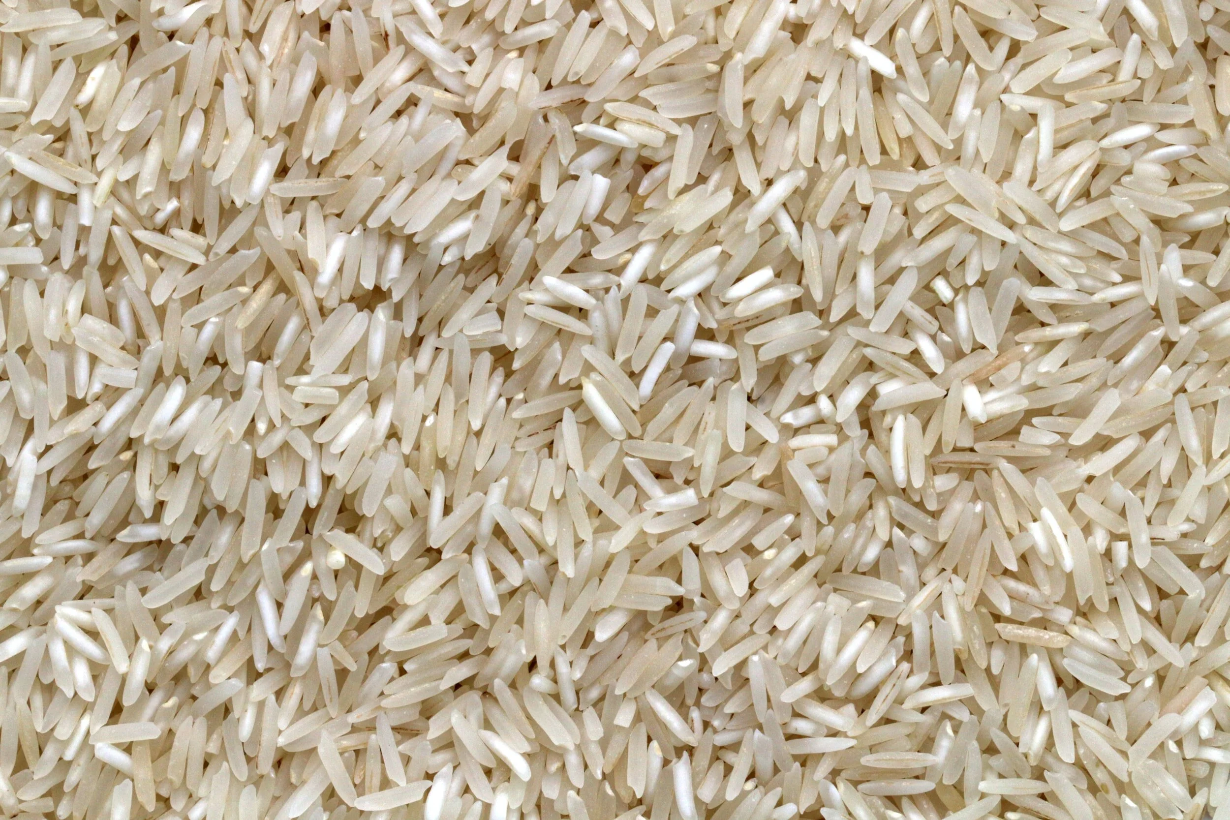 MENA Region Rice Commodity Market