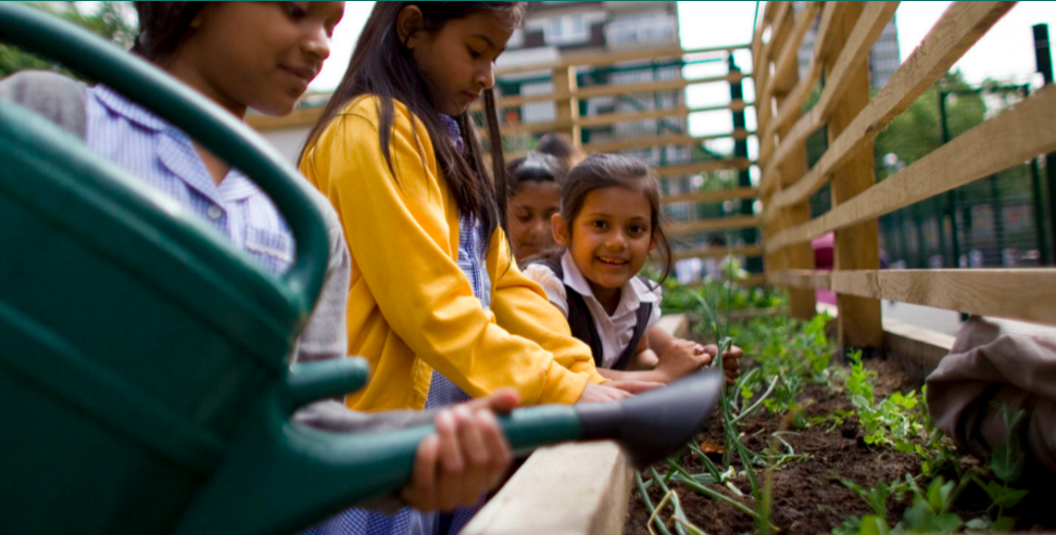 005 Edible Playgrounds
