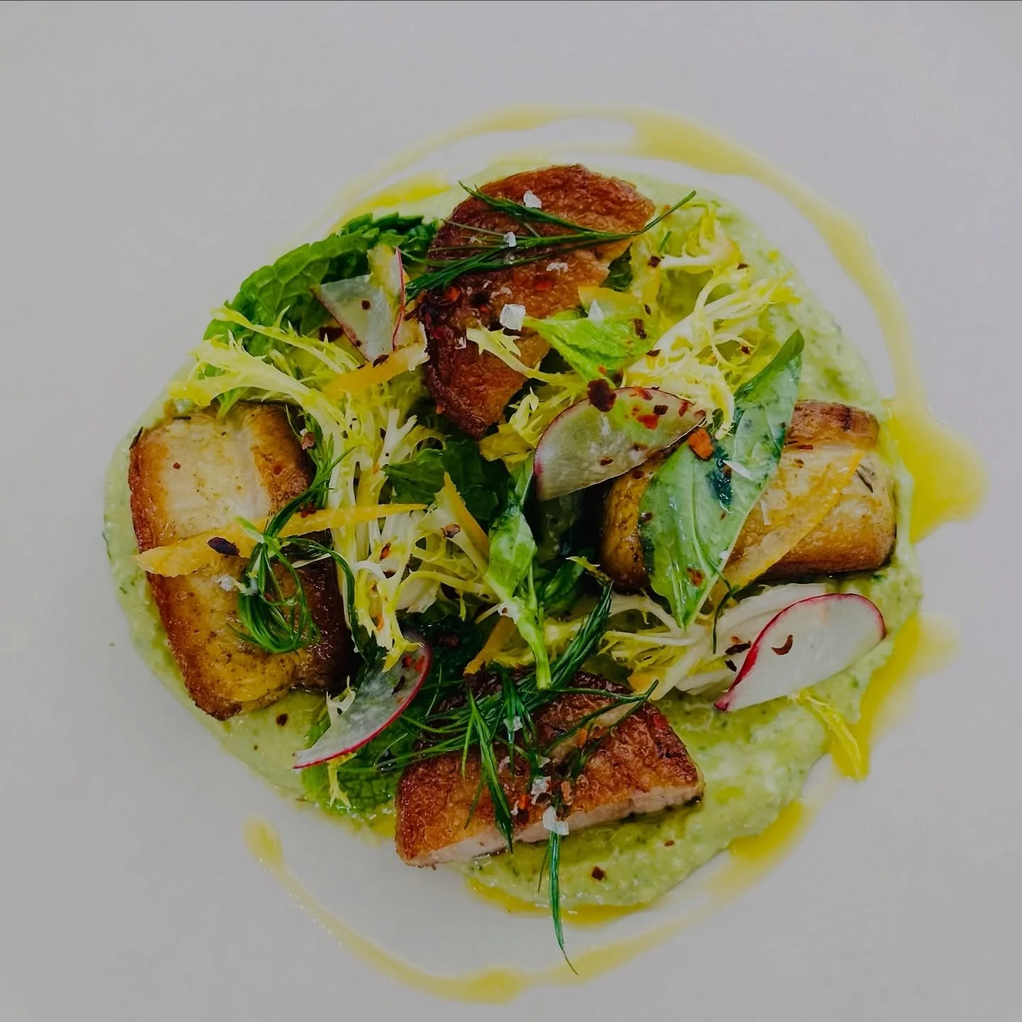 Ib&eacute;rico pork secreto, rolled and slow-cooked sous vide with fennel pollen and light spices, then seared and butter-basted to perfection. Resting on a bed of green garbanzo bean pur&eacute;e, finished with a preserved meyer lemon vinaigrette, s