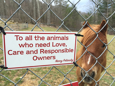sign with horse.jpg