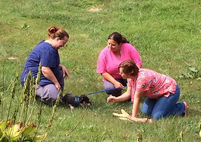 Shelter staff Karen, Tamara, Amber putting a collar on Gabe and saying goodbye on his last day with them