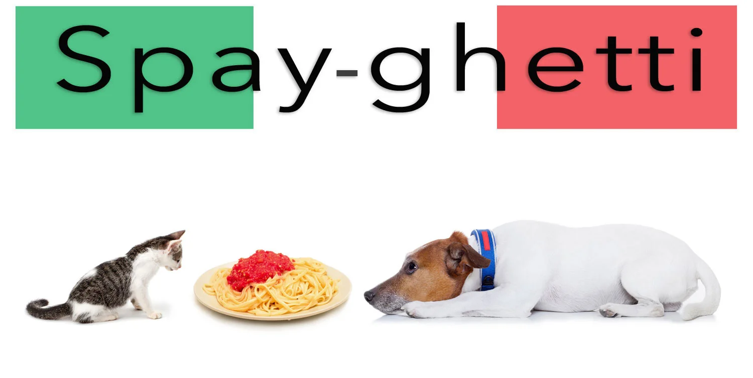 spayghetti3.jpg