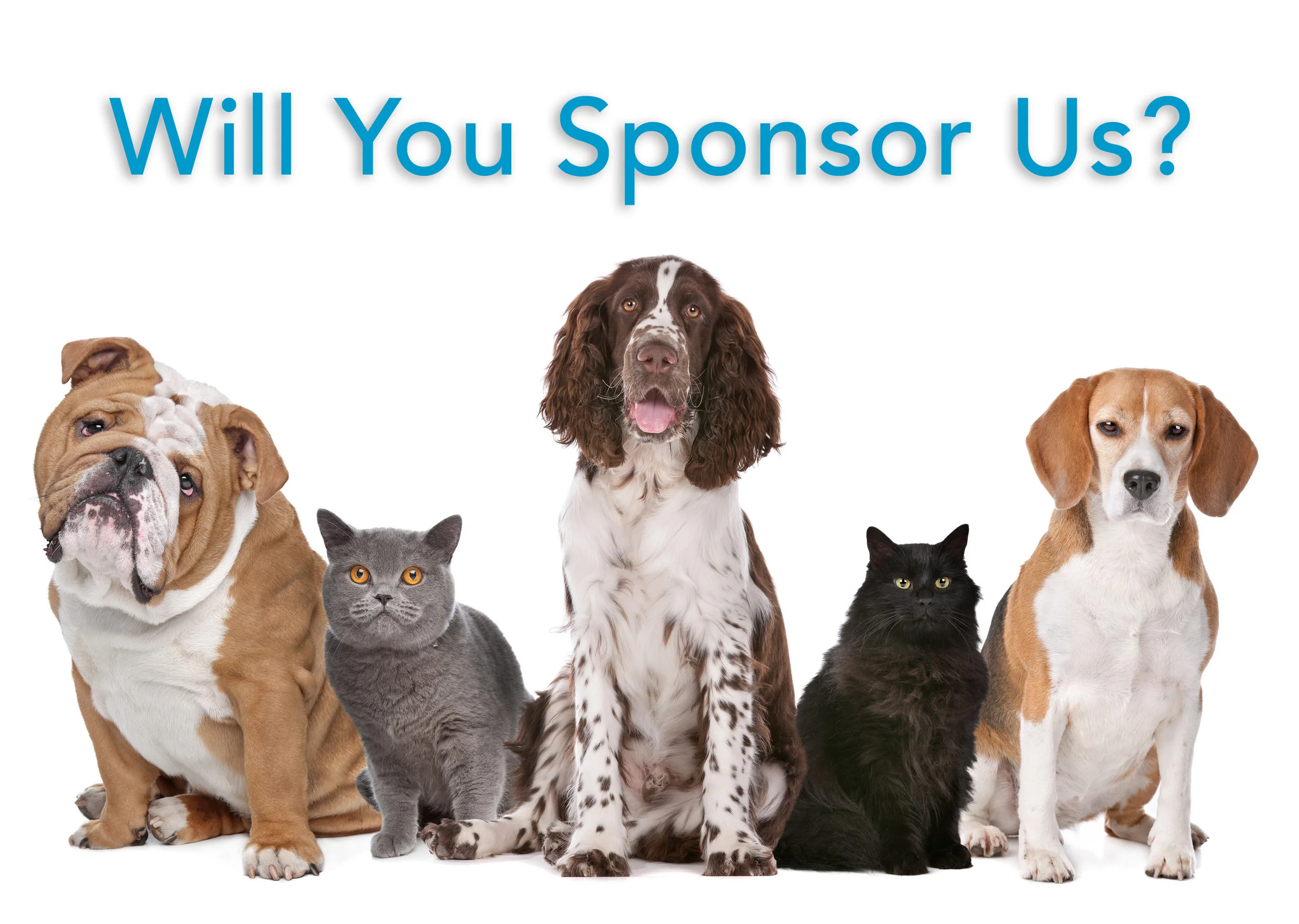 WILL YOU SPONSOR.jpg