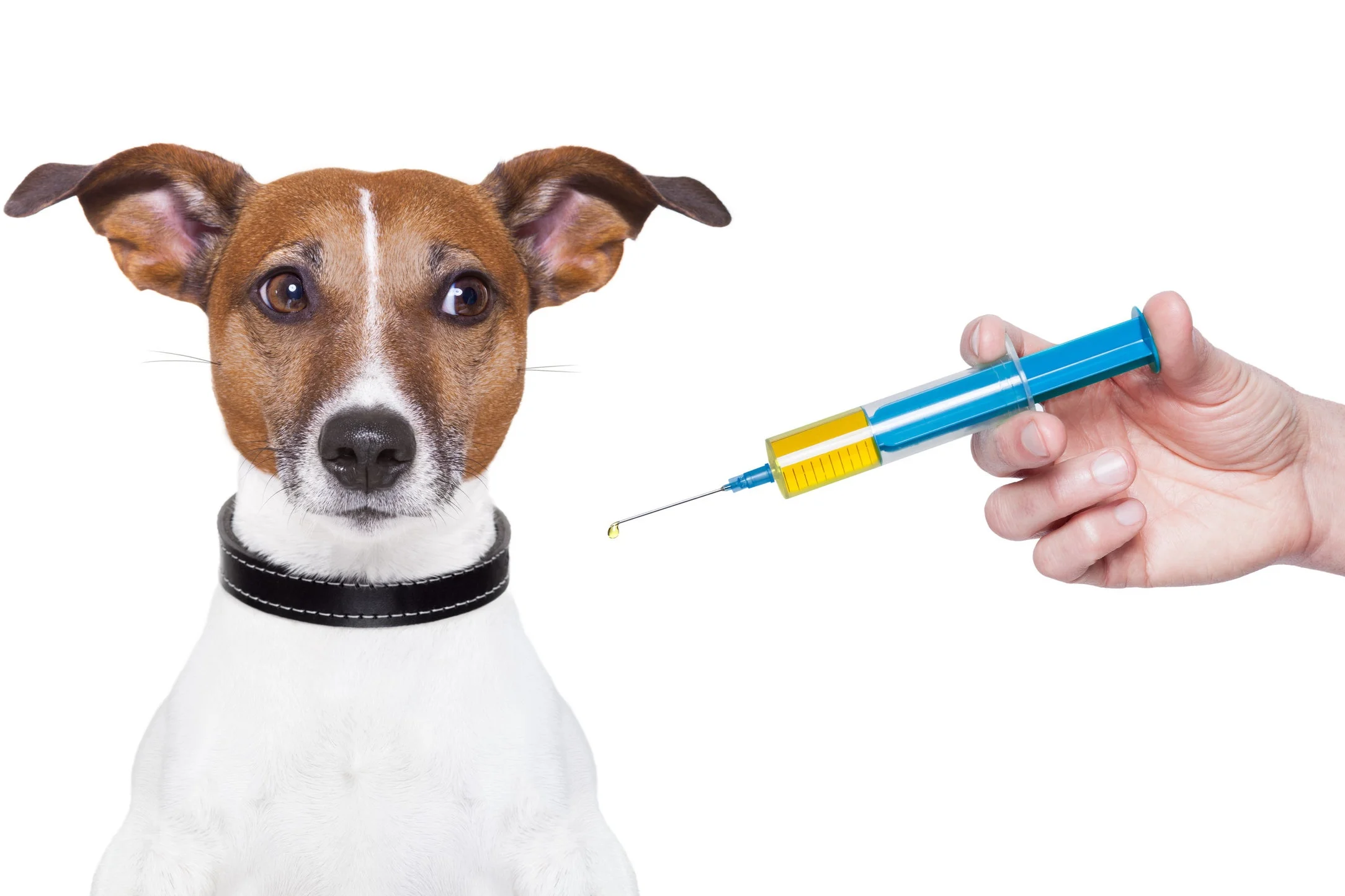 Vaccination Clinic