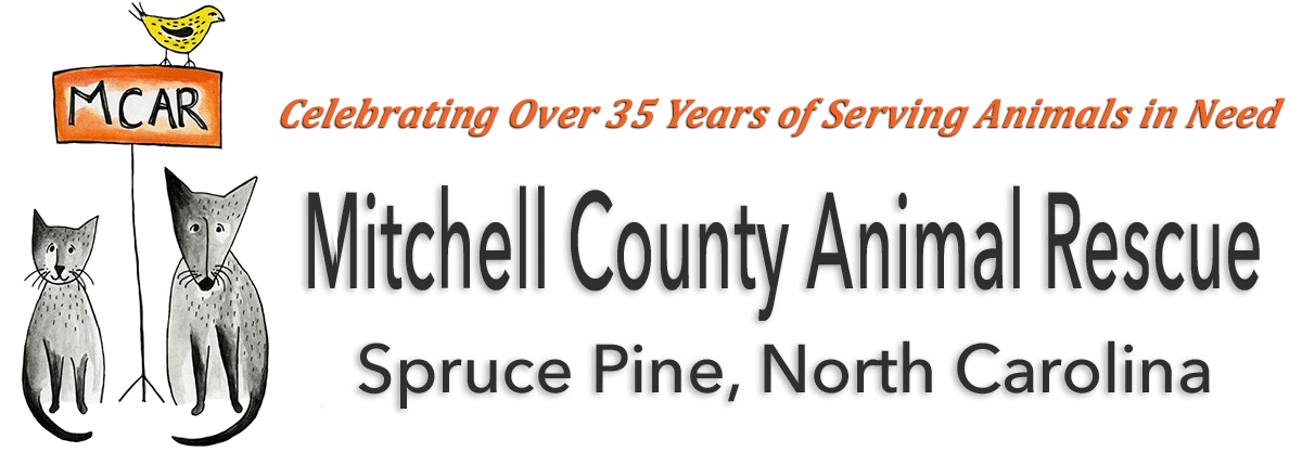 Mitchell County Animal Rescue