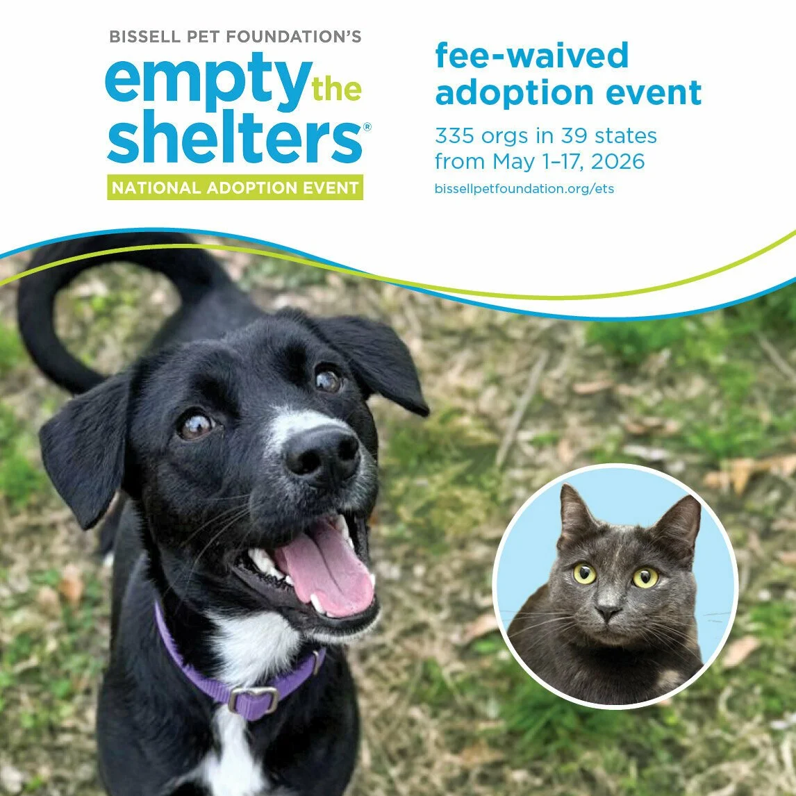 Empty the Shelters 