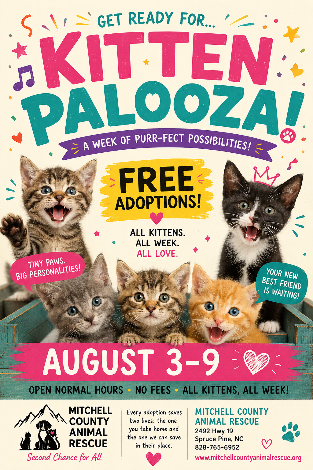 Kittenpalooza!