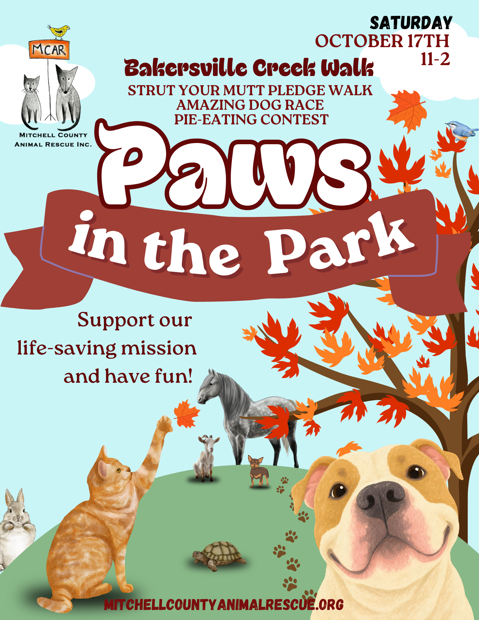 Paws in the Park
