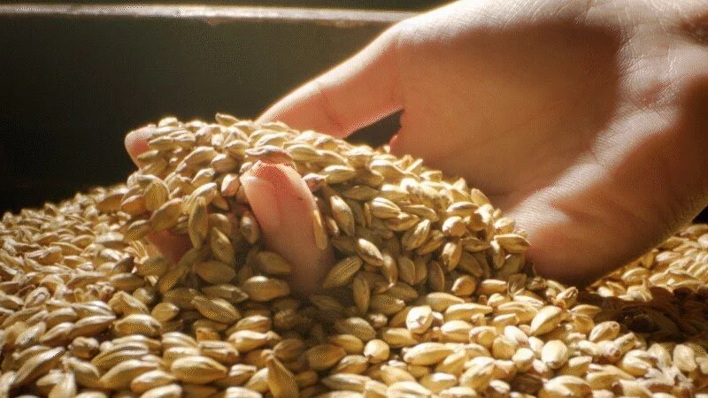 GIF 19 (0-00-02-32).jpg