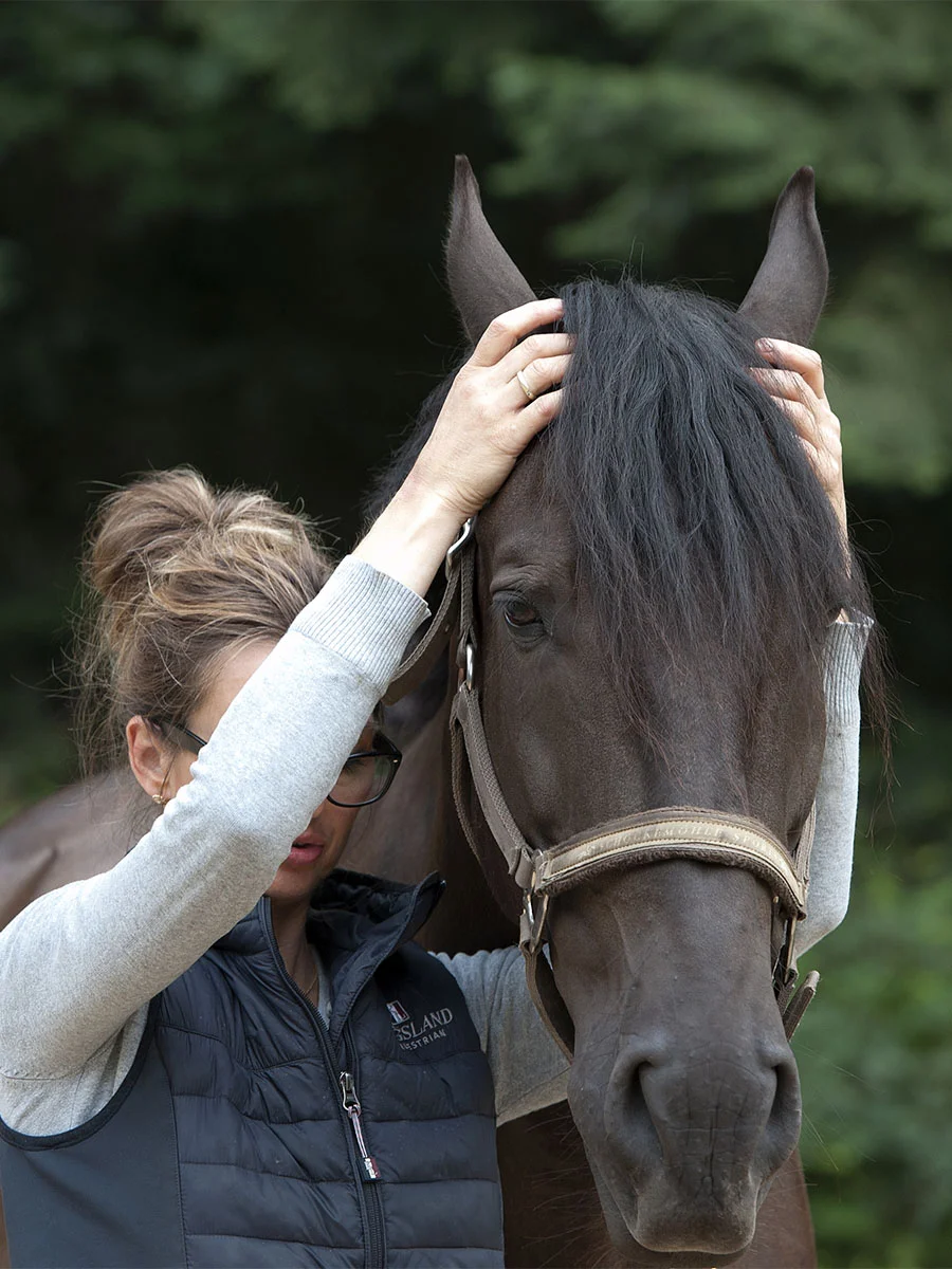 Cranio Sacraal Therapie paarden