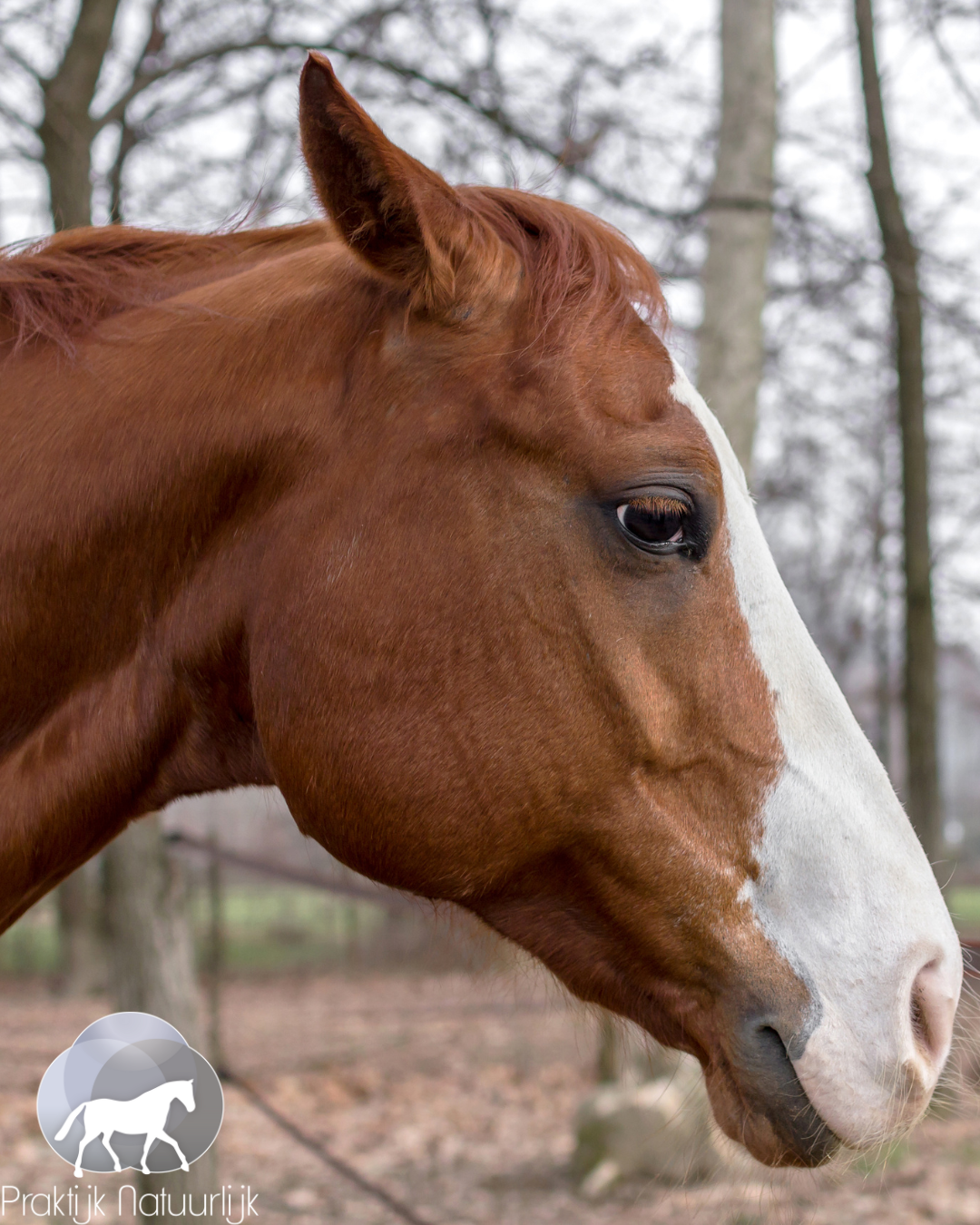 Heb je alles al geprobeerd?