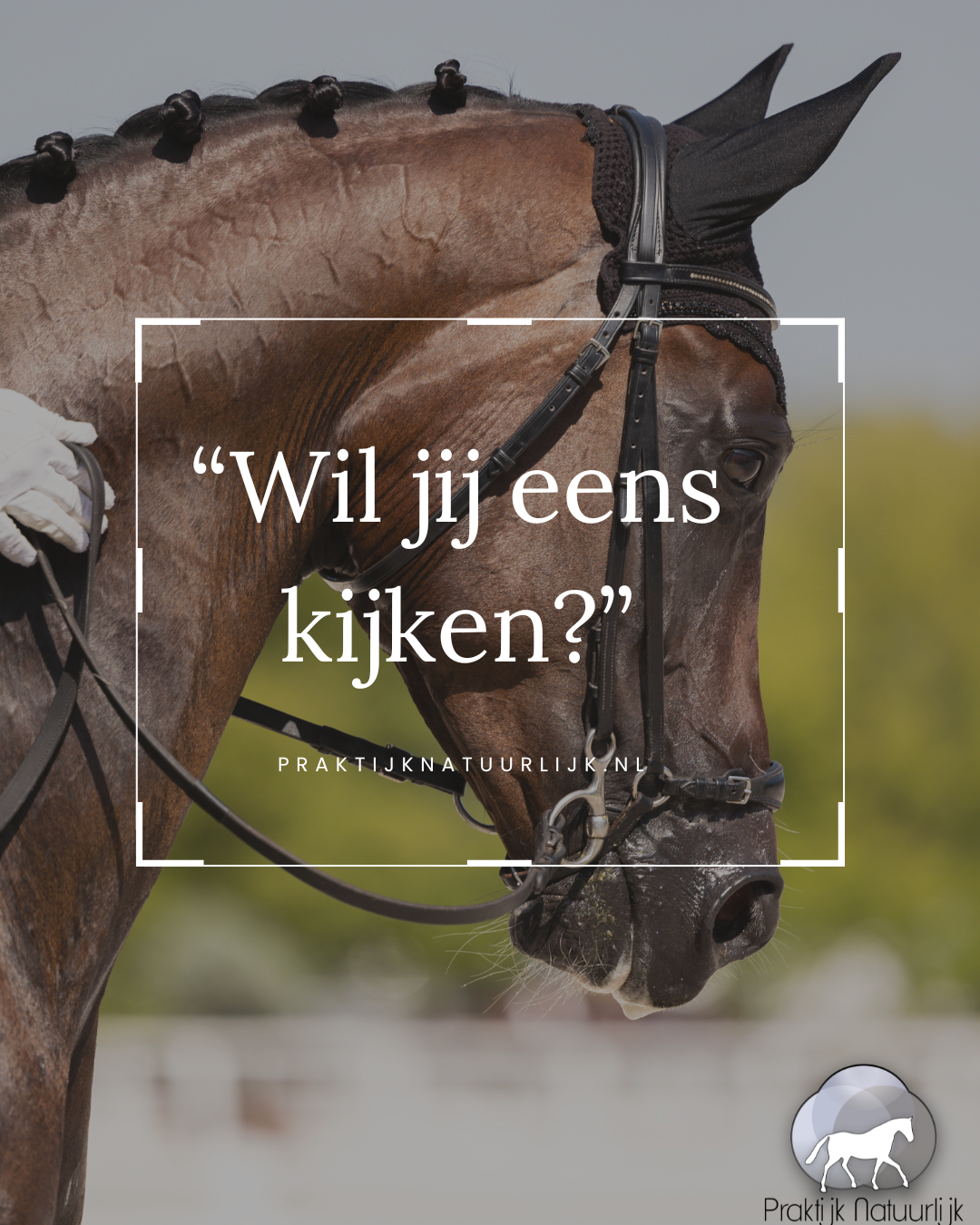 Kijkerig en bodemschuw, Wil jij eens kijken?