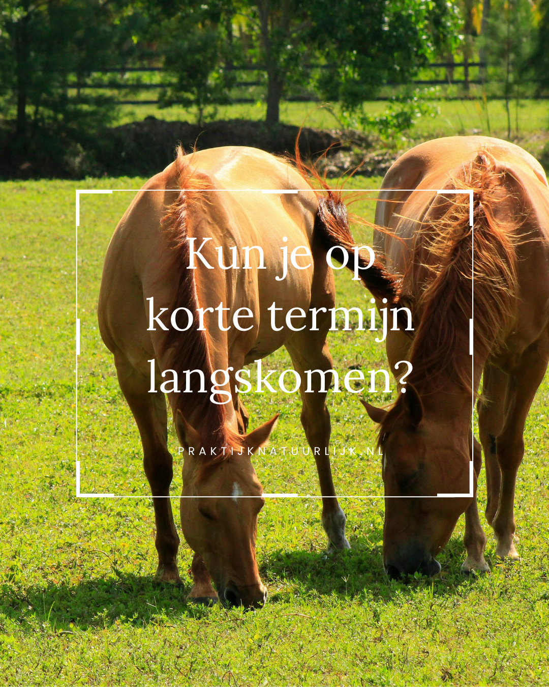 Kun je op korte termijn langskomen?