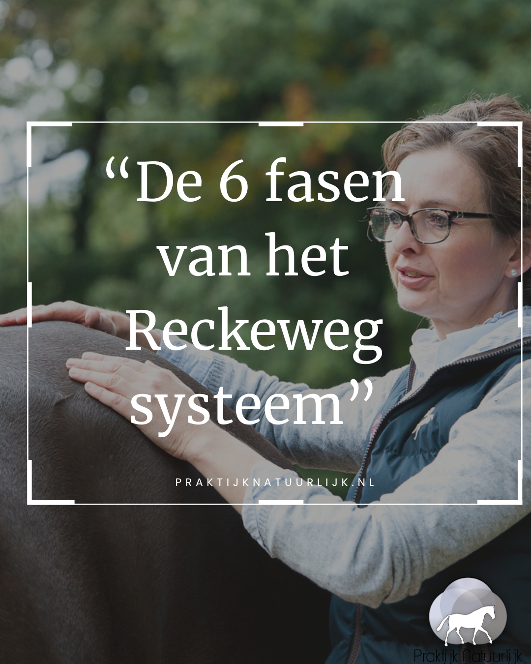 Wat is het Reckeweg systeem?