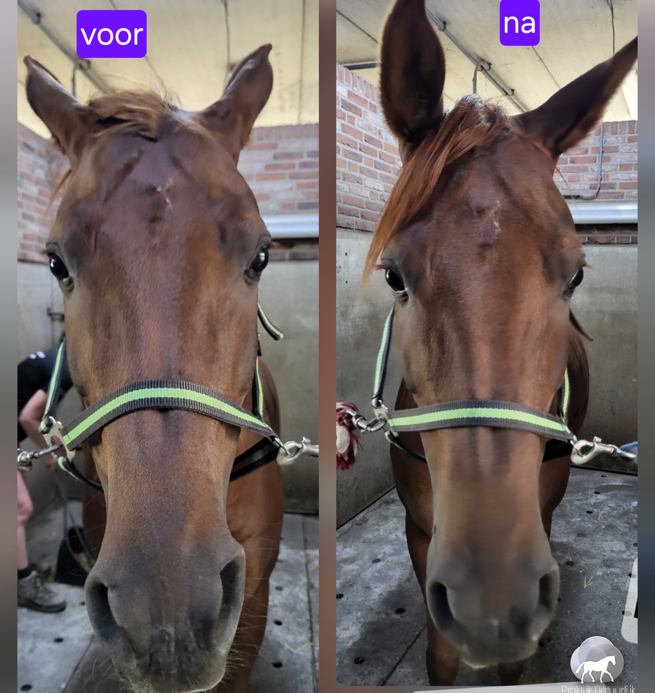 Voor en na een PN release sessie – wat zie je nu eigenlijk?