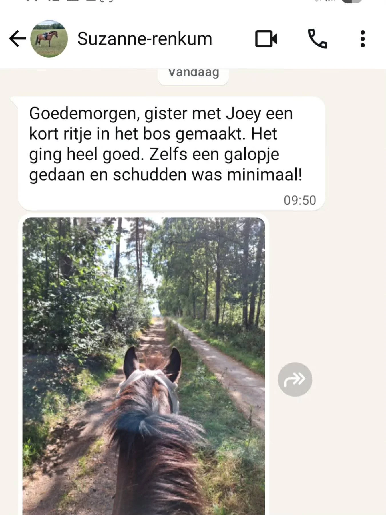 Behandeling van paardenrug voor meer souplesse en ontspanning