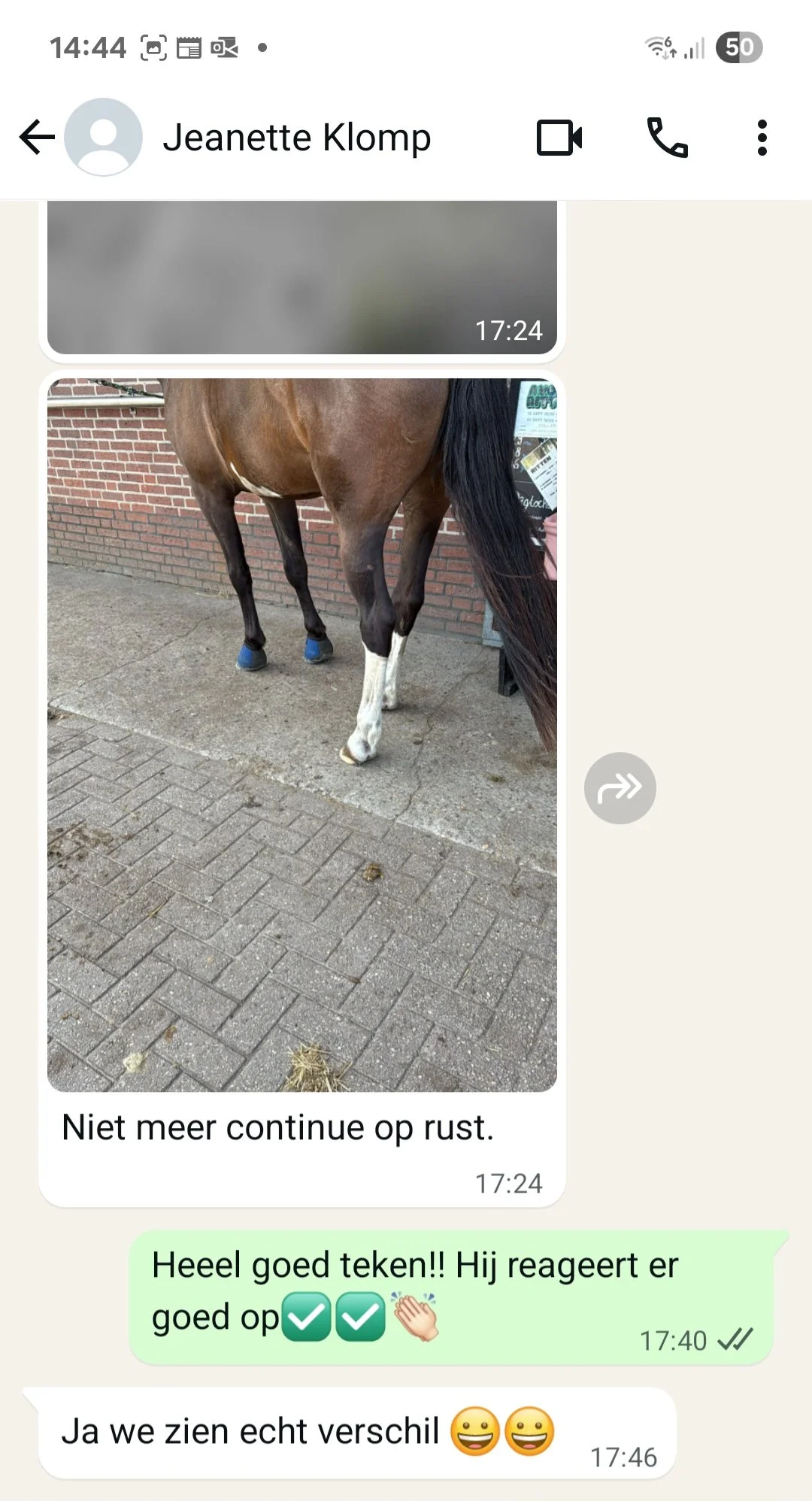 Zachte craniosacraal behandeling bij paard met headshaking