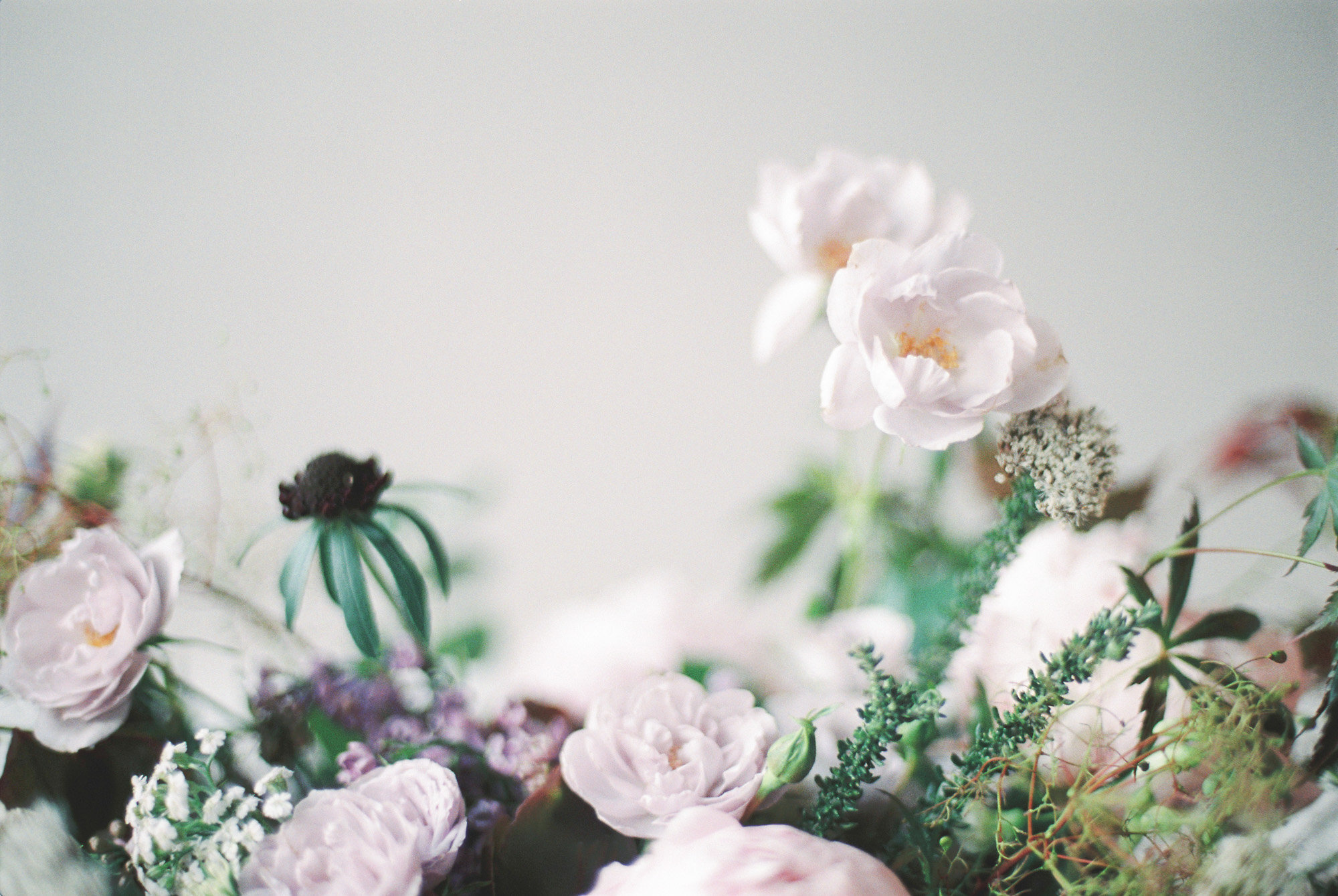 TheLaceAtelier-20.jpg