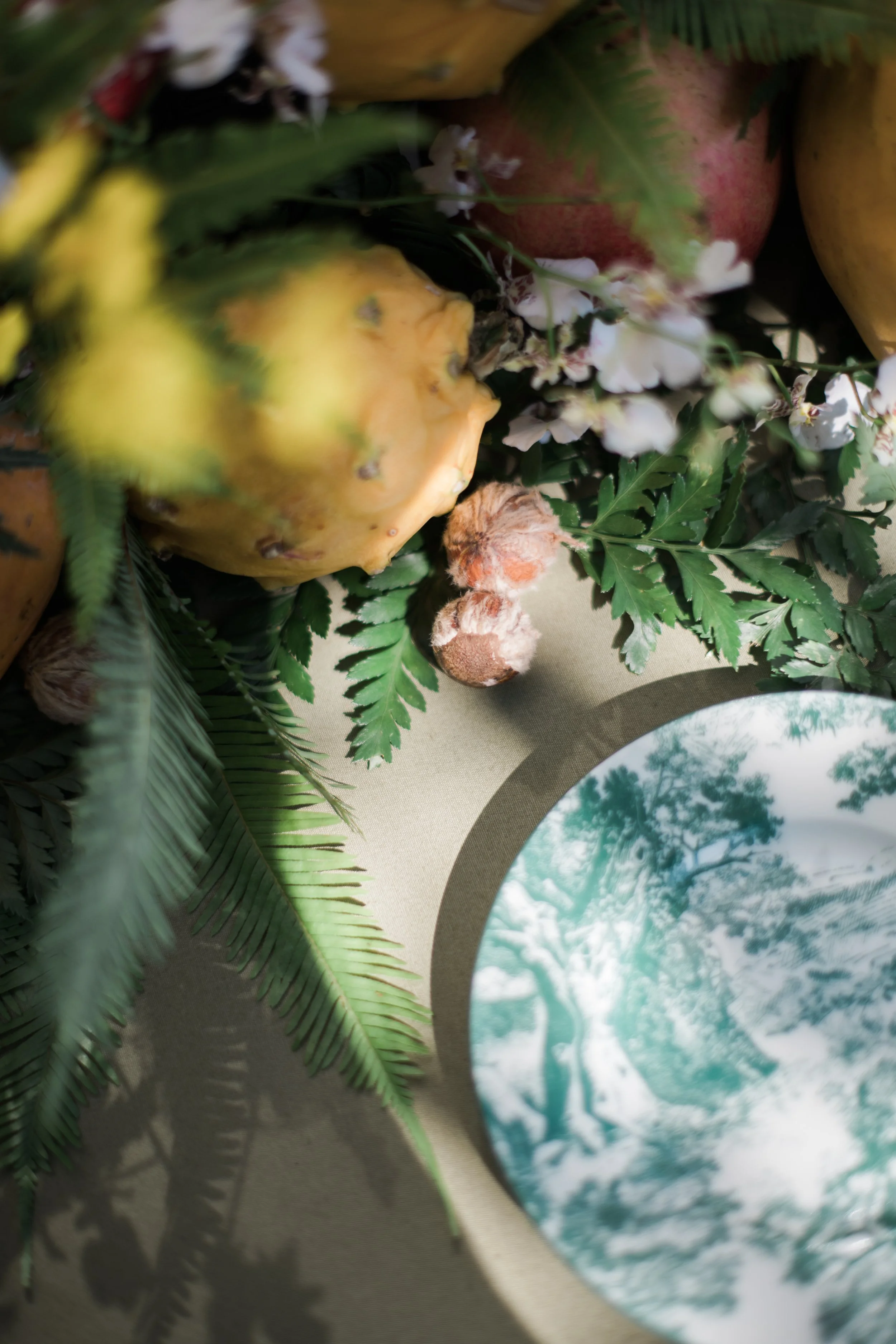 Christian Dior at Villa 52, Sai Kung