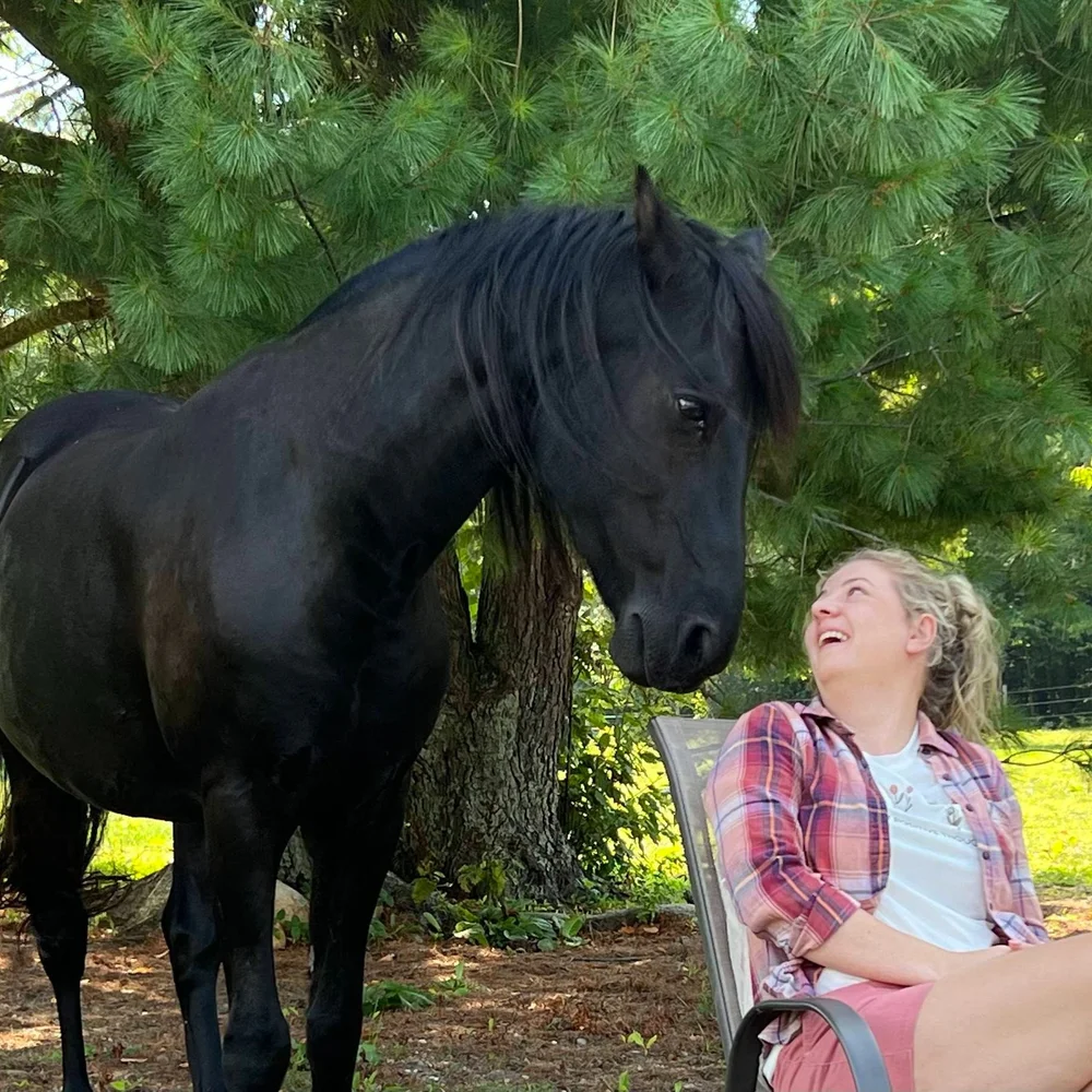 Time Peace Ranch Peace Ranch | Equine Assisted Therapy | Traverse City, MI