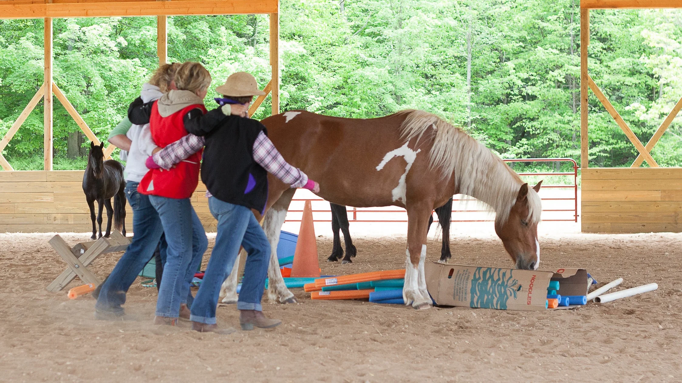 Basics in Natural Horsemanship Class Northern Michigan.jpg
