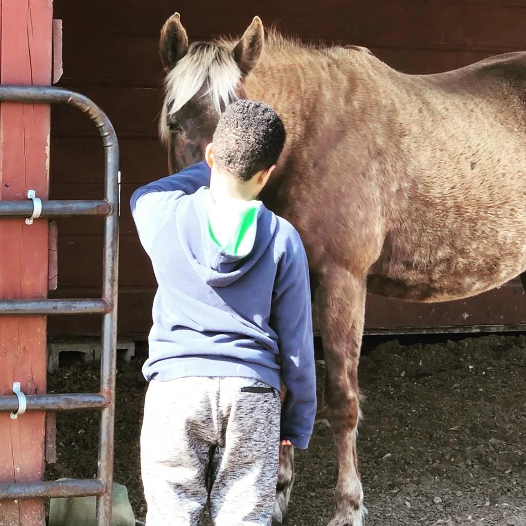 Equine-assisted Psychotherapy and Personal Development for children and teens at Peace Ranch