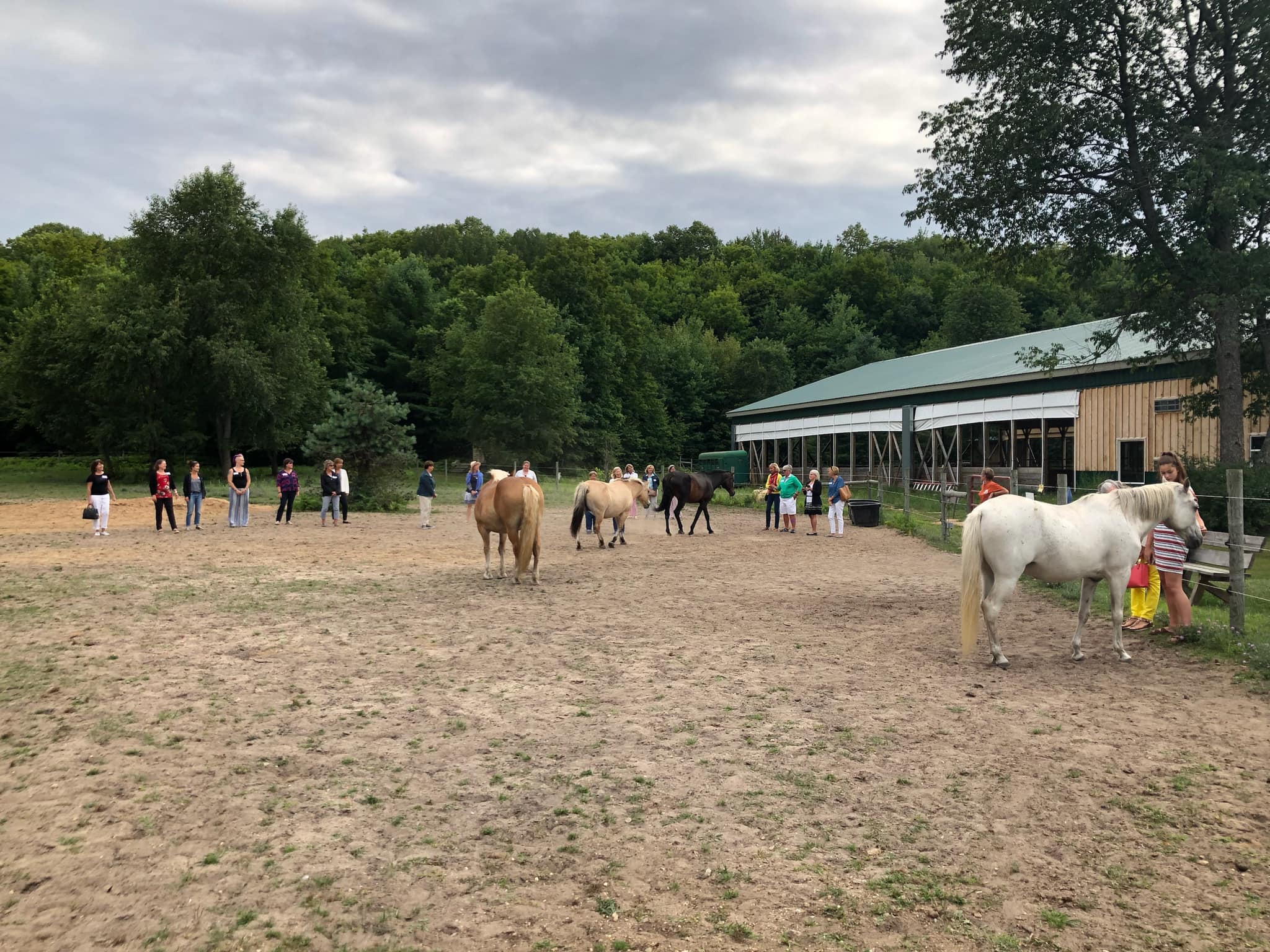 Impact 100 TC Visits Therapeutic Peace Ranch