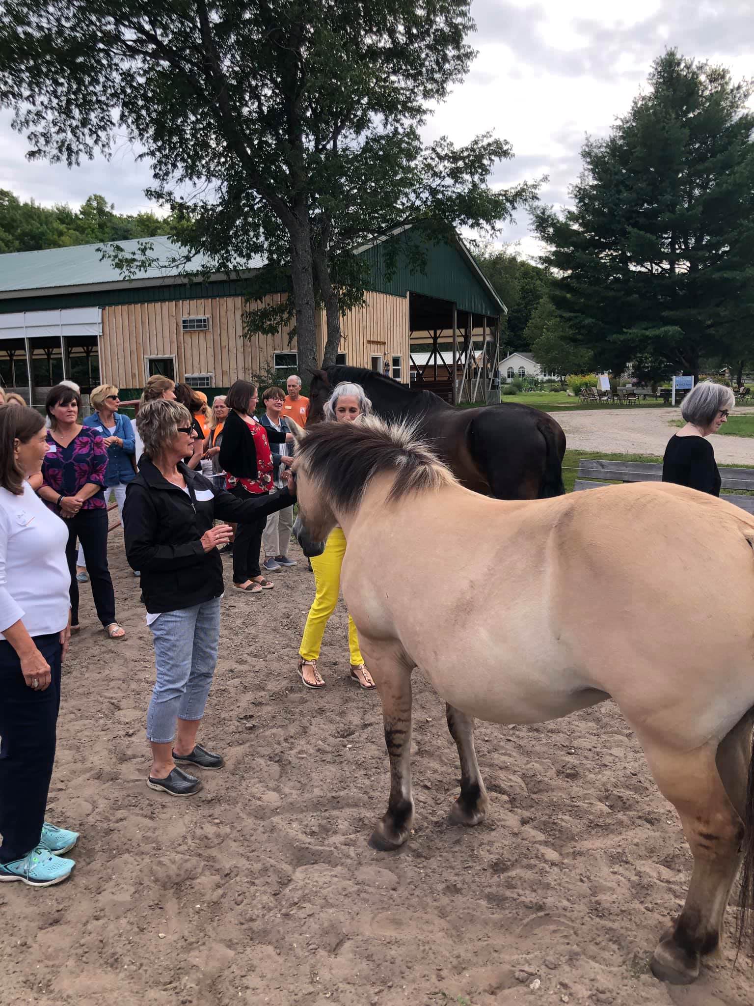 Impact 100 TC Visits Therapeutic Peace Ranch
