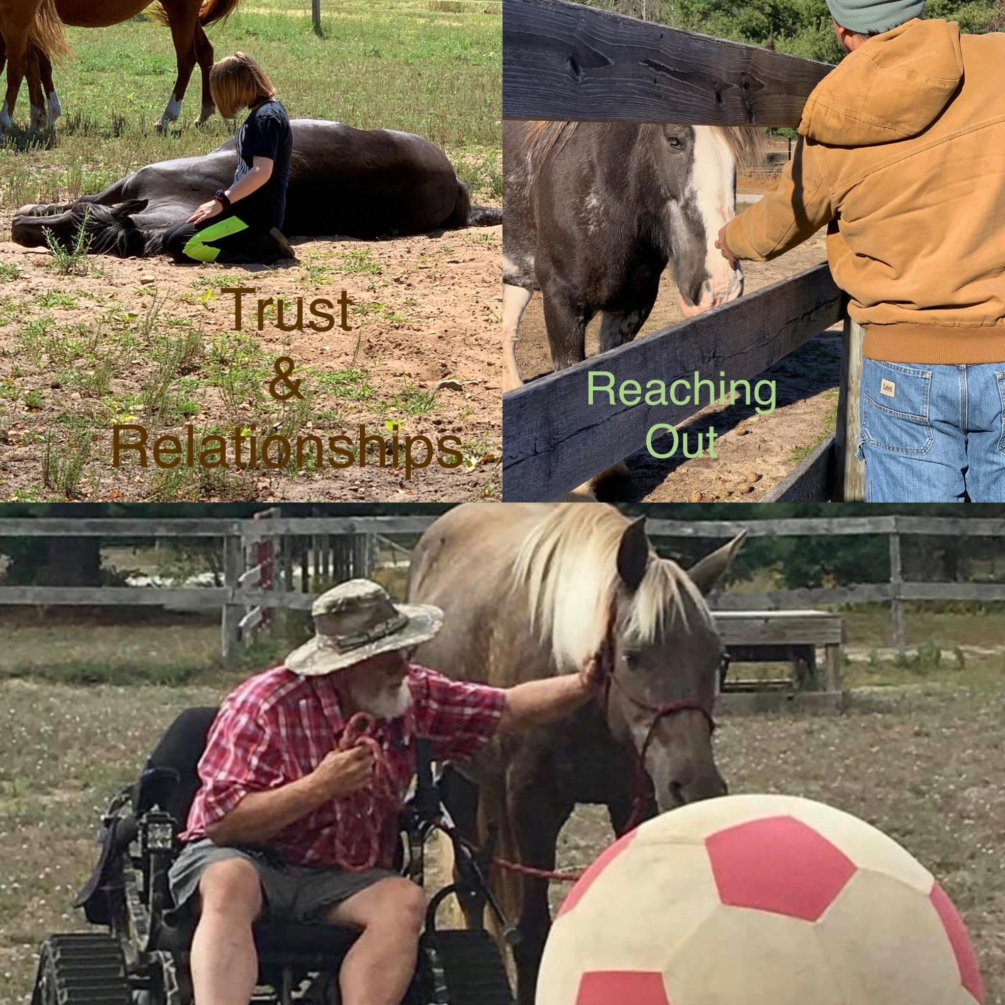Your Support Moves our Ranch Forward