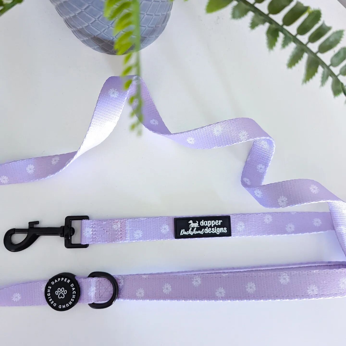 Step into spring with Daisy Dreaming 💜

✨ Collars - &pound;3
✨ Leads - &pound;5
✨ Poo bag holders - &pound;2

www.dapperdachshunddesigns.com