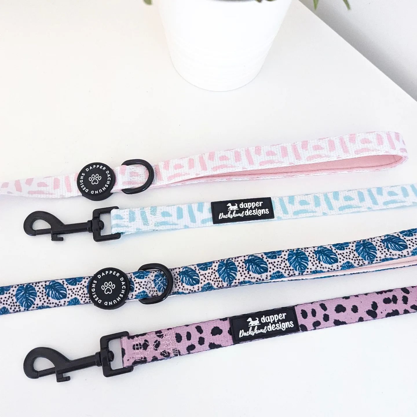 Happy Monday everyone! 🙌🏼✨ For once the sun is actually shining 😱 I've just made a few further reductions to the website, including our older design leads which are now just &pound;4 🐾🤍

All other items reduced with original design collars just 