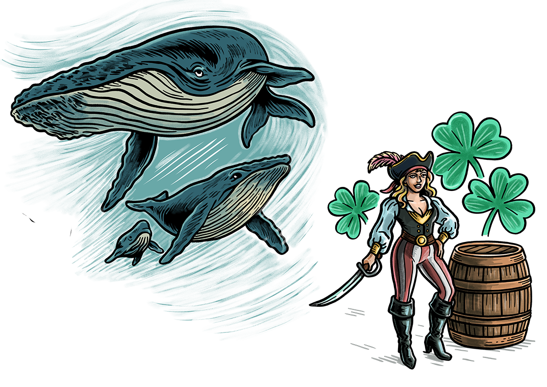 pirate-captain-3.png