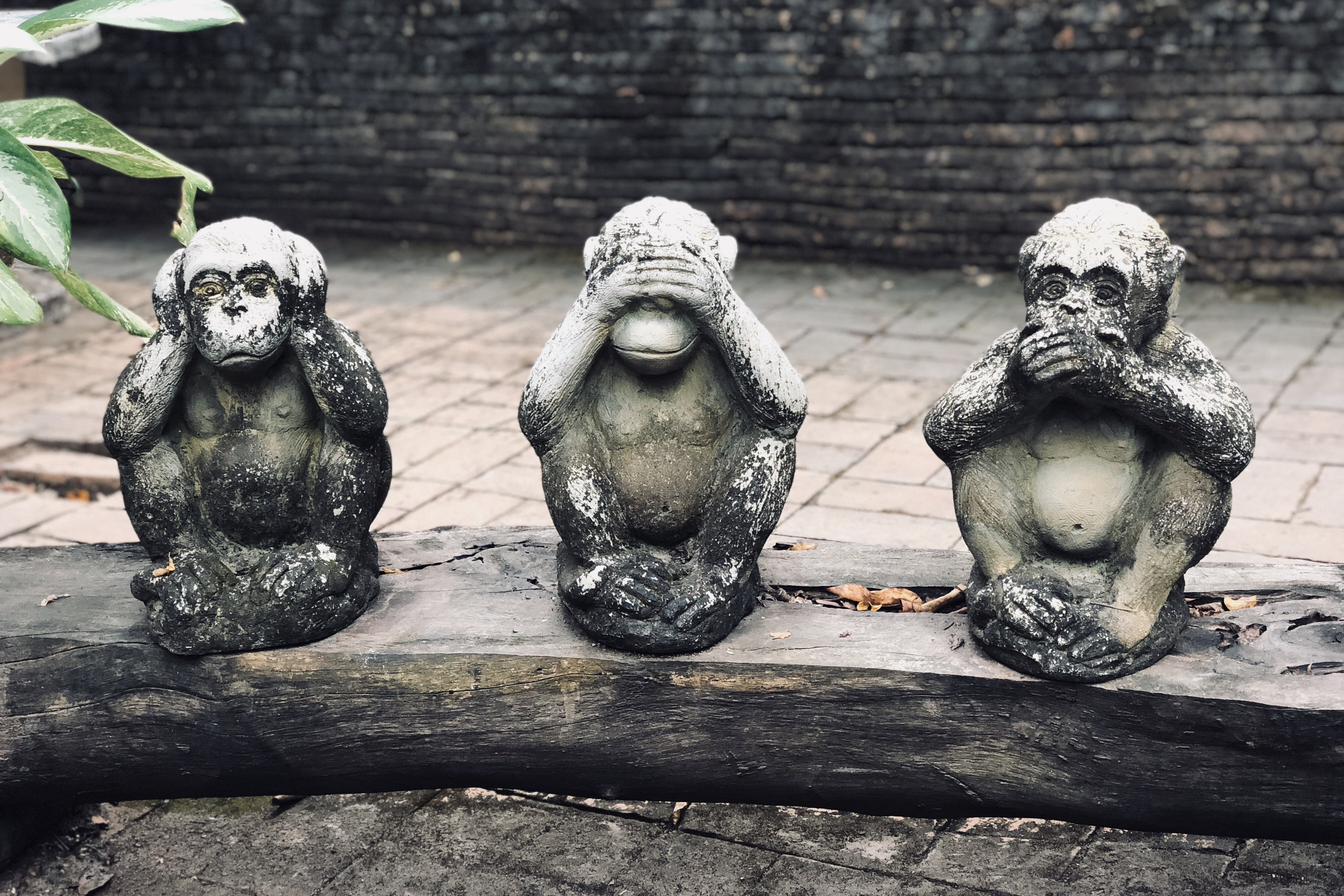 Die Haltung der Stadt: “Nichts sehen, nichts hören, nichts sagen.”(Q: Unsplash, Joao Tzanno, @jtzanno)