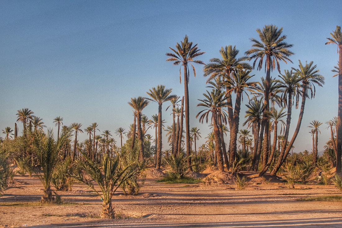 That Desert Feeling...