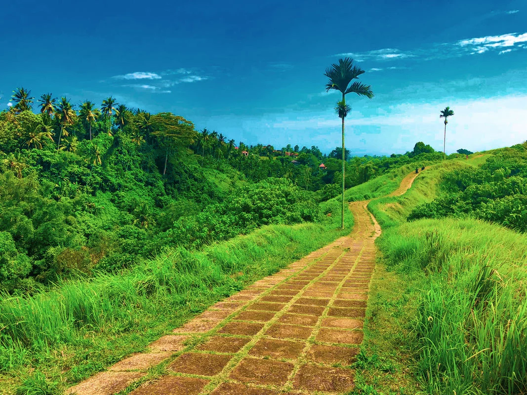 Campuhan Ridge Walk