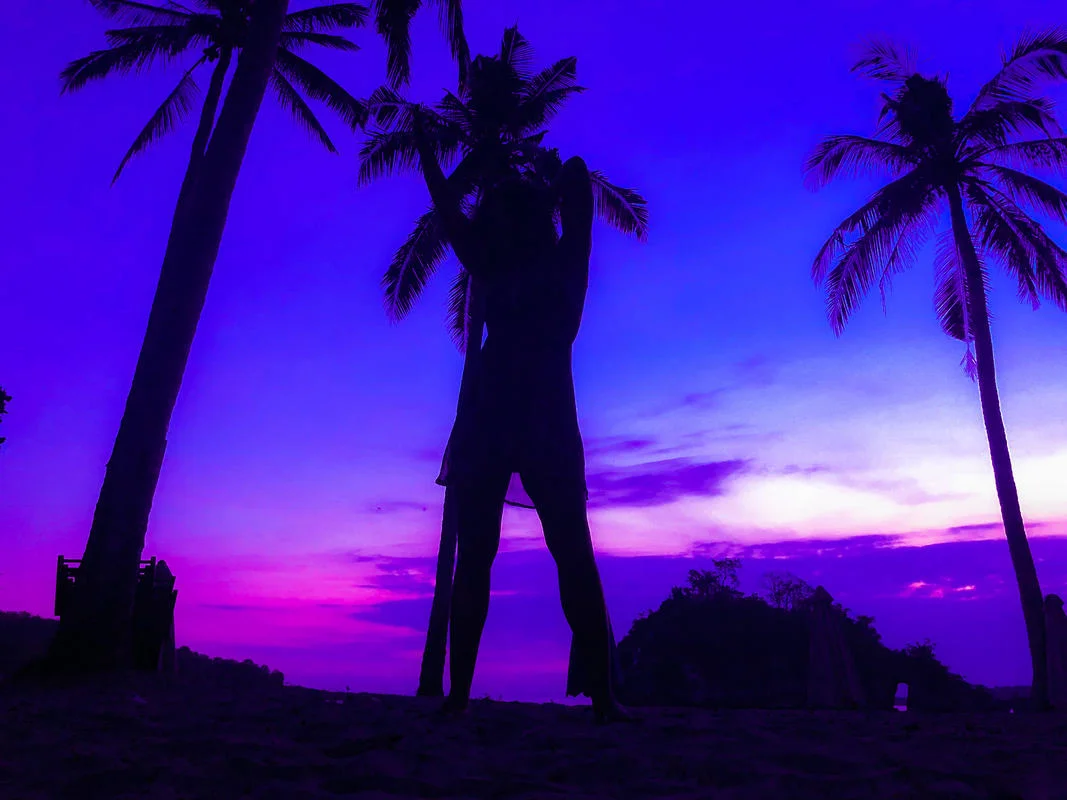 tree-silhouette_orig.jpg