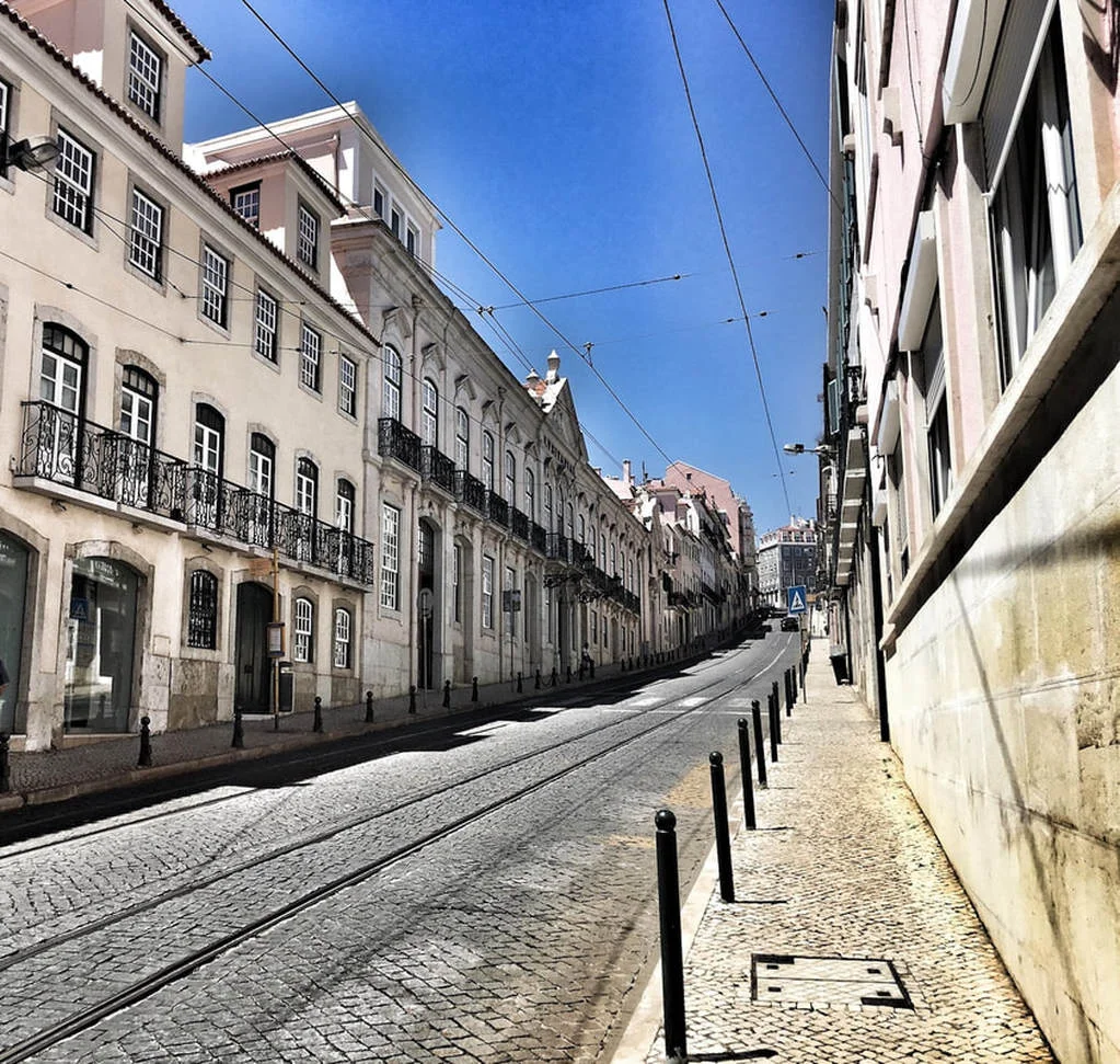 lapa_1.jpg