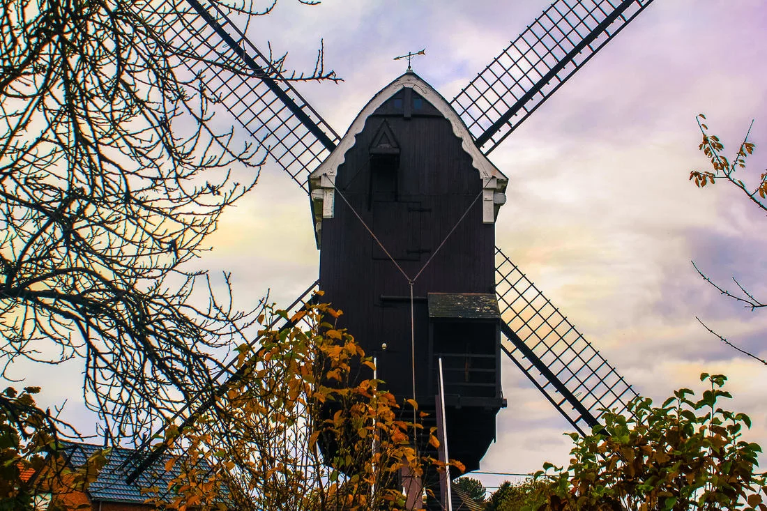 windmil_orig.jpg