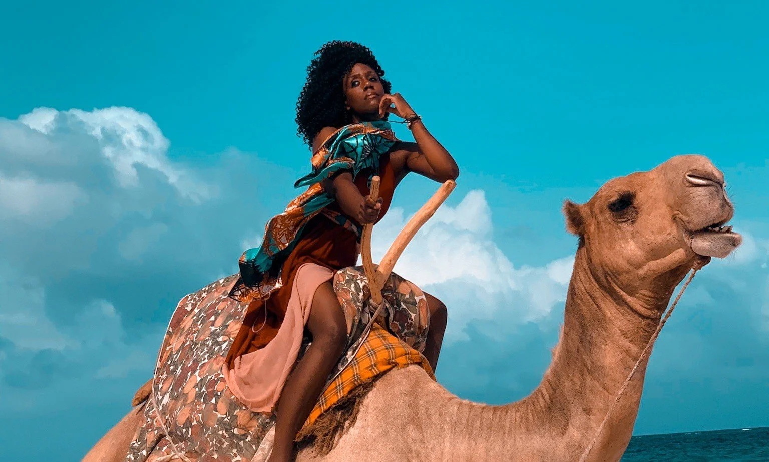 Sirius Scarves_comp 1.jpeg