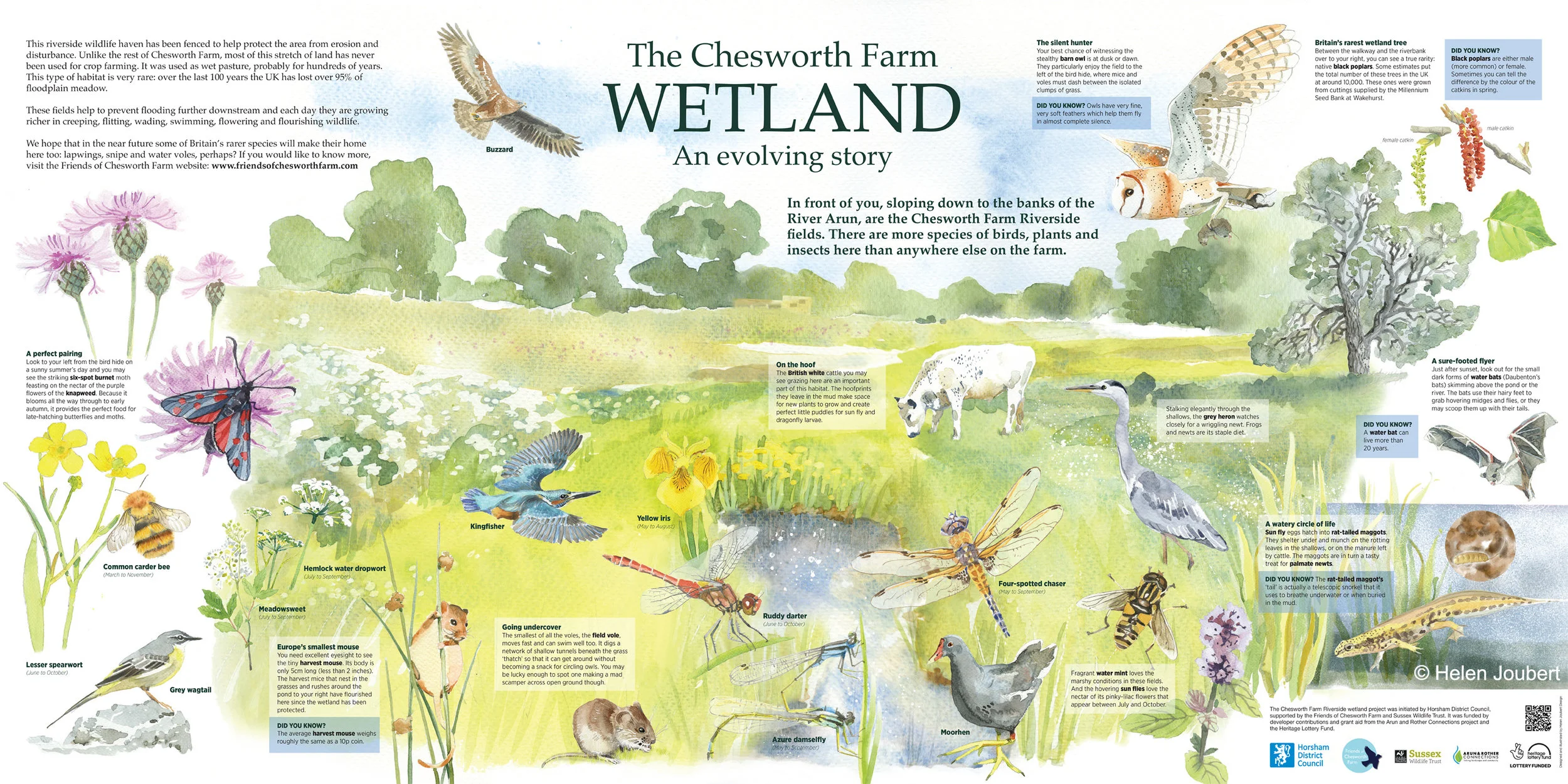 CF interpretation board.jpg