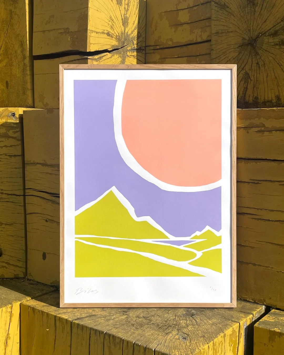 084-bilos-finalprint.jpg